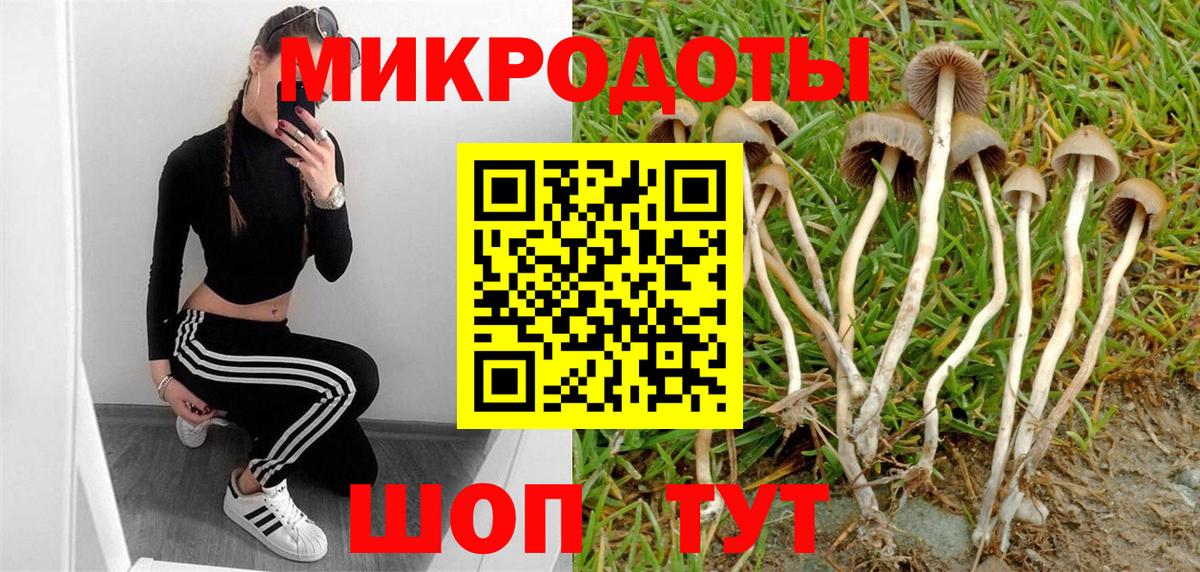 Галлюциногенные грибы прущие грибы Жигулёвск