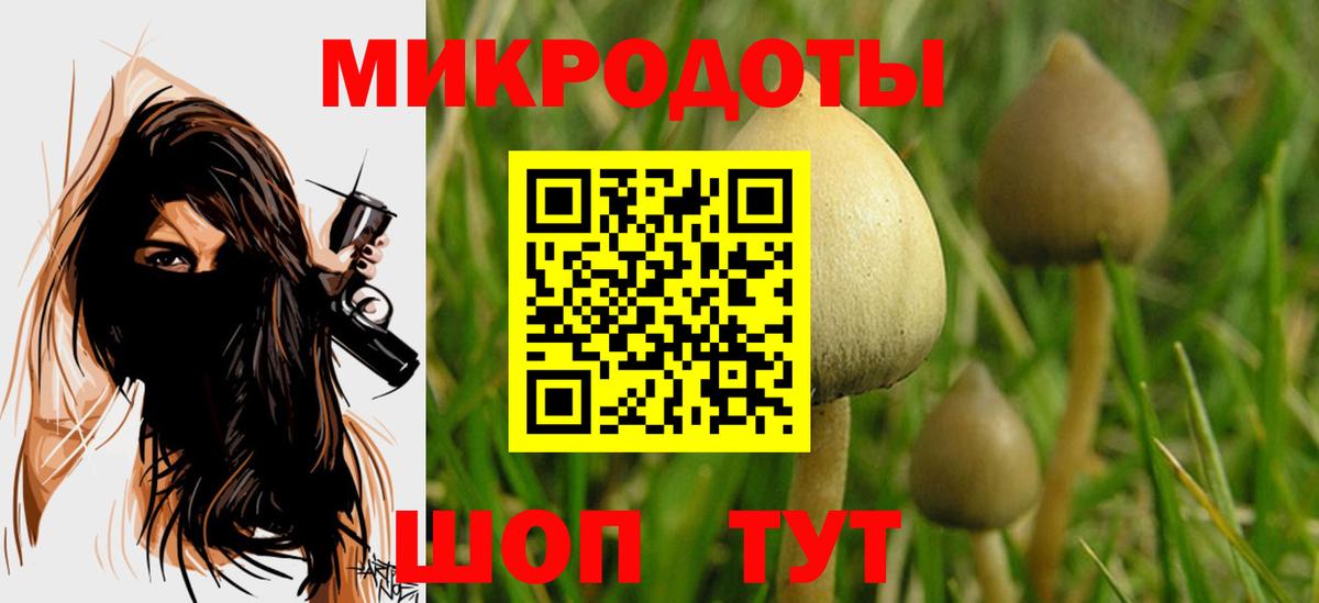 Галлюциногенные грибы Magic Shrooms Жигулёвск